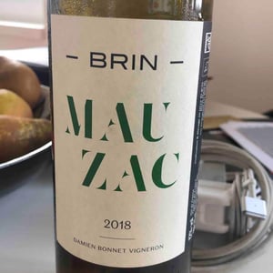 Mauzac - Domaine de Brin - damien-bonnet