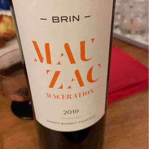 Mauzac Macération - Domaine de Brin - Damien Bonnet 