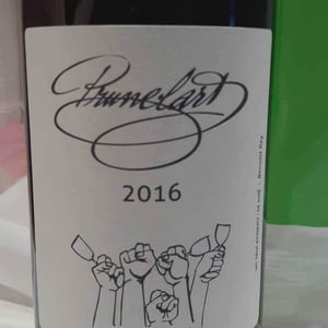 Domaine Plageoles - Bernard, Florent & Romain Plageoles - Mauzac Nature