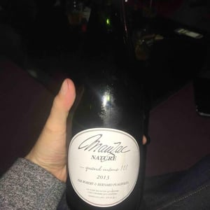 Domaine Plageoles - Bernard, Florent & Romain Plageoles - Mauzac Nature