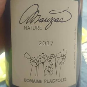 Domaine Plageoles - Bernard, Florent & Romain Plageoles - Mauzac Nature