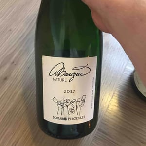 Domaine Plageoles - Bernard, Florent & Romain Plageoles - Mauzac Nature