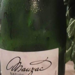 Domaine Plageoles - Bernard, Florent & Romain Plageoles - Mauzac Nature
