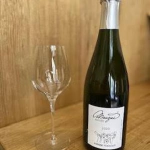 Mauzac Nature - Domaine Plageoles - bernard-florent-romain-plageoles