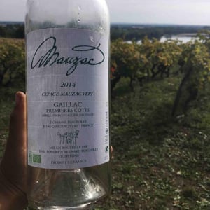 Domaine Plageoles - Bernard, Florent & Romain Plageoles - Mauzac Vert