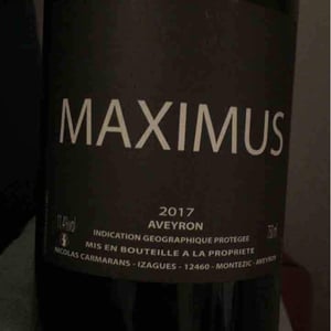 Maximus - Nicolas Carmarans - nicolas-carmarans