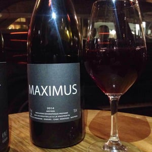 Nicolas Carmarans - Nicolas Carmarans - Maximus
