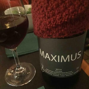 Maximus - Nicolas Carmarans - Nicolas Carmarans 