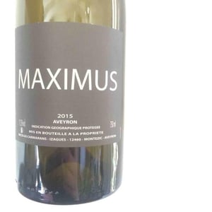 Maximus - Nicolas Carmarans - nicolas-carmarans