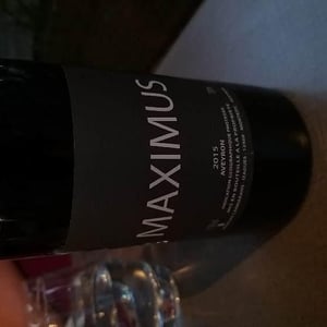Maximus - Nicolas Carmarans - nicolas-carmarans