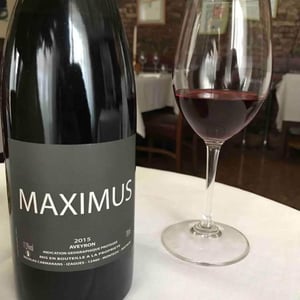 Maximus - Nicolas Carmarans - Nicolas Carmarans 