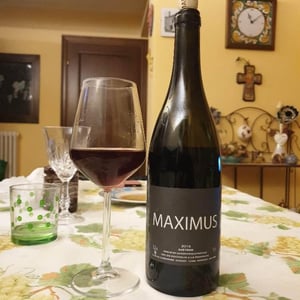 Nicolas Carmarans - Nicolas Carmarans - Maximus