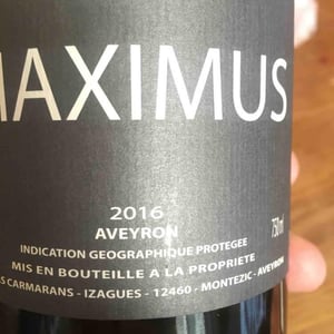 Maximus - Nicolas Carmarans - nicolas-carmarans