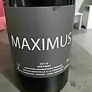 Maximus - Nicolas Carmarans - nicolas-carmarans