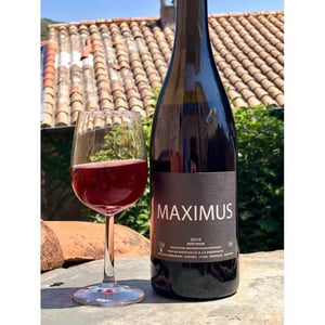 Nicolas Carmarans - Nicolas Carmarans - Maximus