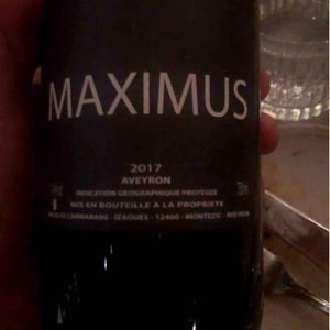 Maximus - Nicolas Carmarans - nicolas-carmarans