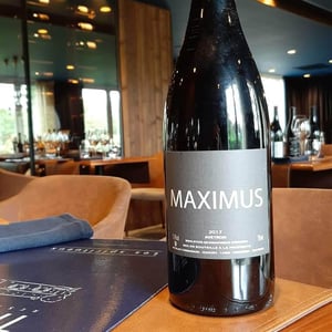 Maximus - Nicolas Carmarans - nicolas-carmarans