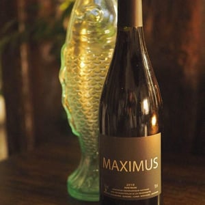 Nicolas Carmarans - Nicolas Carmarans - Maximus