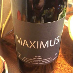 Maximus - Nicolas Carmarans - nicolas-carmarans