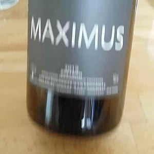Maximus 2019