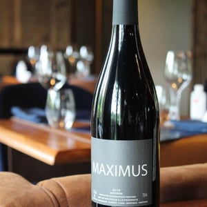 Maximus - Nicolas Carmarans - nicolas-carmarans