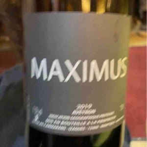 Maximus - Nicolas Carmarans - nicolas-carmarans