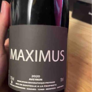 Maximus - Nicolas Carmarans - nicolas-carmarans