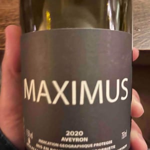 Nicolas Carmarans - Nicolas Carmarans - Maximus