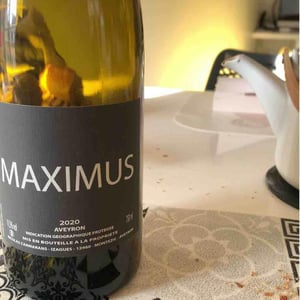 Nicolas Carmarans - Nicolas Carmarans - Maximus