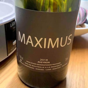 Maximus - Nicolas Carmarans - nicolas-carmarans