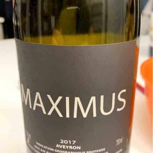 Maximus - Nicolas Carmarans - nicolas-carmarans