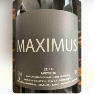 Maximus - Nicolas Carmarans - nicolas-carmarans
