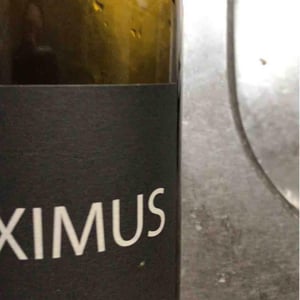 Maximus - Nicolas Carmarans - nicolas-carmarans