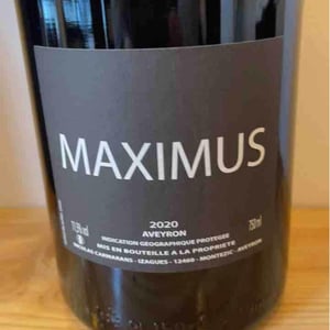 Maximus - Nicolas Carmarans - nicolas-carmarans