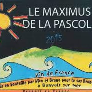 Maximus de la Pascole (X Nicolas Carmarans) - Bruno Duchêne - bruno-duchene