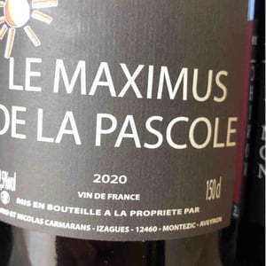 Maximus de la Pascole (X Nicolas Carmarans) - Bruno Duchêne - bruno-duchene