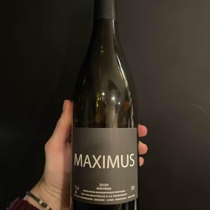 Maximus - Nicolas Carmarans - nicolas-carmarans