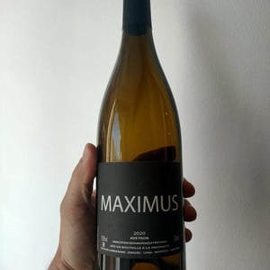 Maximus - Nicolas Carmarans - Nicolas Carmarans 