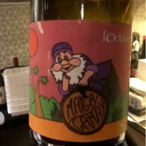 Mayga Gamay - Domaine de l'Octavin - Alice Bouvot 