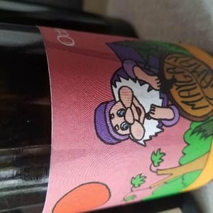 Mayga Gamay - Domaine de l'Octavin - alice-bouvot