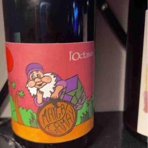 Mayga Gamay - Domaine de l'Octavin - alice-bouvot