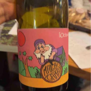 Mayga Gamay - Domaine de l'Octavin - Alice Bouvot 