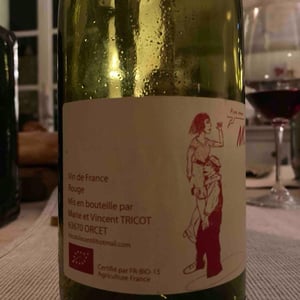 Marie et Vincent Tricot - Vincent et Marie Tricot - MC