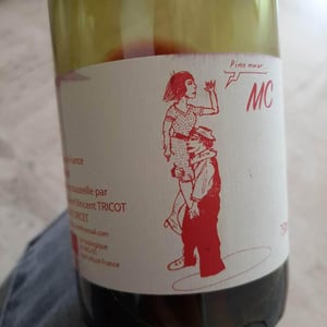 MC - Marie et Vincent Tricot - vincent-et-marie-tricot
