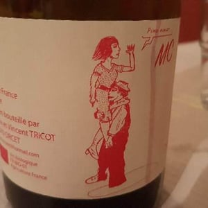 Marie et Vincent Tricot - Vincent et Marie Tricot - MC