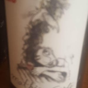 MC2 - Domaine Bio Coste - mathieu-coste