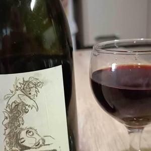 Domaine Bio Coste - Mathieu Coste - MC2