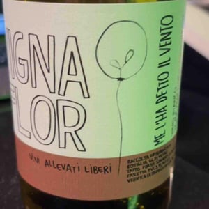 Come Lunghi Baci - Vigna Flor - francesca-gozzonspired-davide-boldrin -2021
