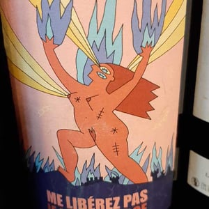 Me Libérez Pas Je M'en Charge ( X Vins et Volailles ) - La Ferme du Vert - Jacques & Jérôme Galaup -2020