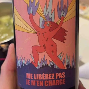 Me Libérez Pas Je M'en Charge ( X Vins et Volailles ) - La Ferme du Vert - Jacques & Jérôme Galaup -2020